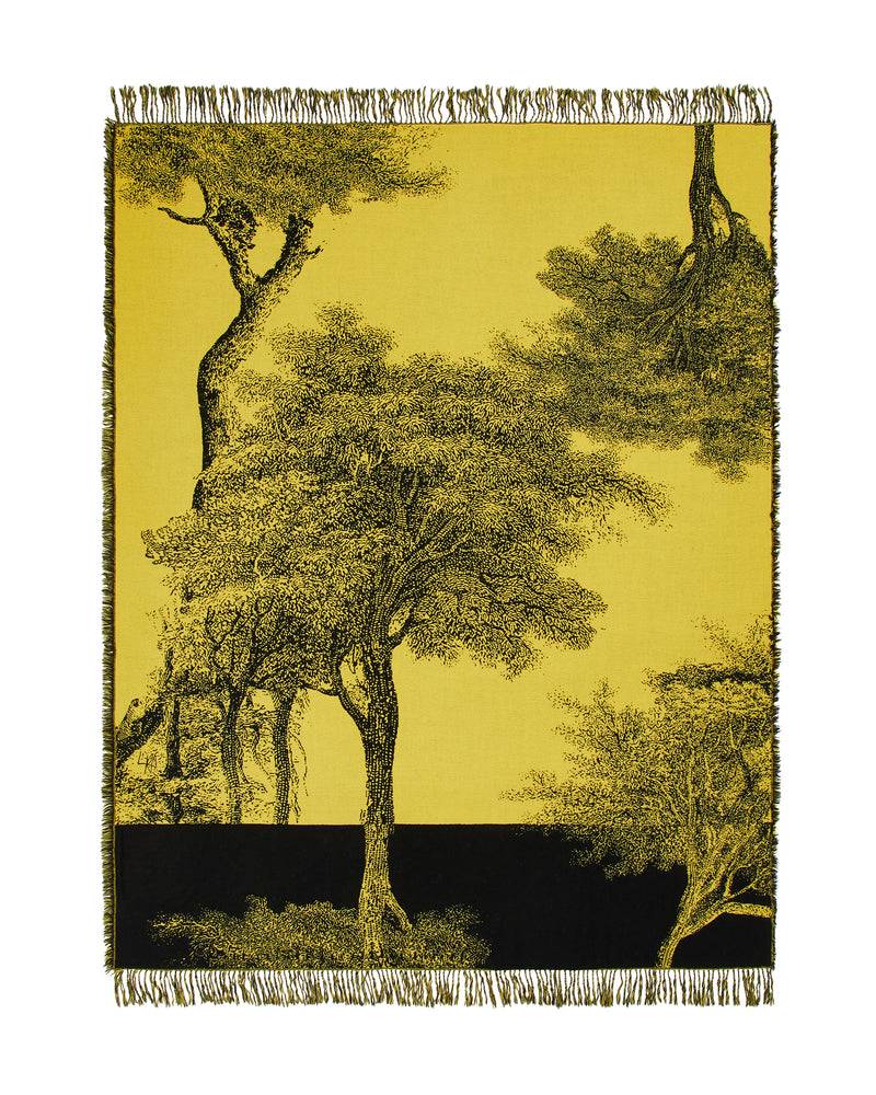 Lanerossi Radici plaid by Palomba Serafini Sconti questo mese