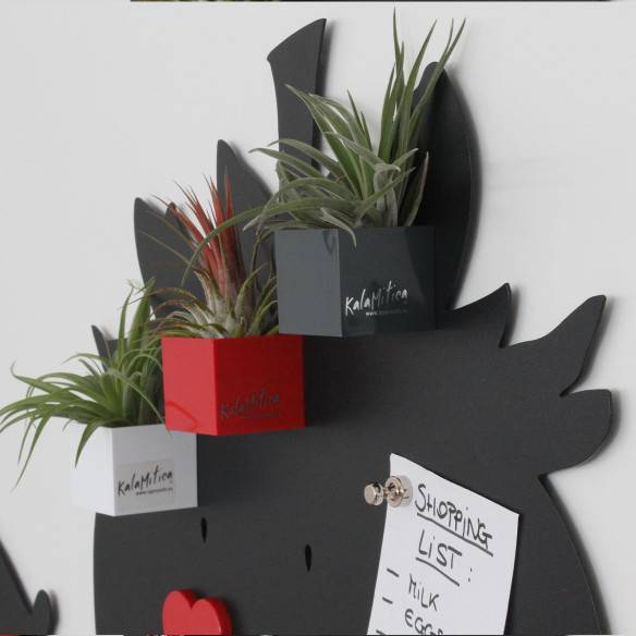 Kalamitica Fragola - Lavagna Magnetica 56x38 cm Outlet