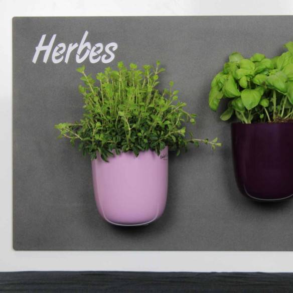 Kalamitica Herbes - Lavagna Magnetica con Incisione Spedizione Gratuita