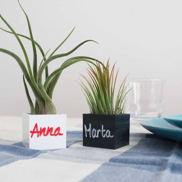 Kalamitica Cubo Magnetico 3,5 cm con Tillandsia Ionantha Fino Al -60%