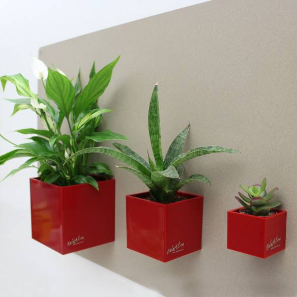 Kalamitica Set di 3 Cubi Magnetici Ø 3,5-6-9 cm Presa