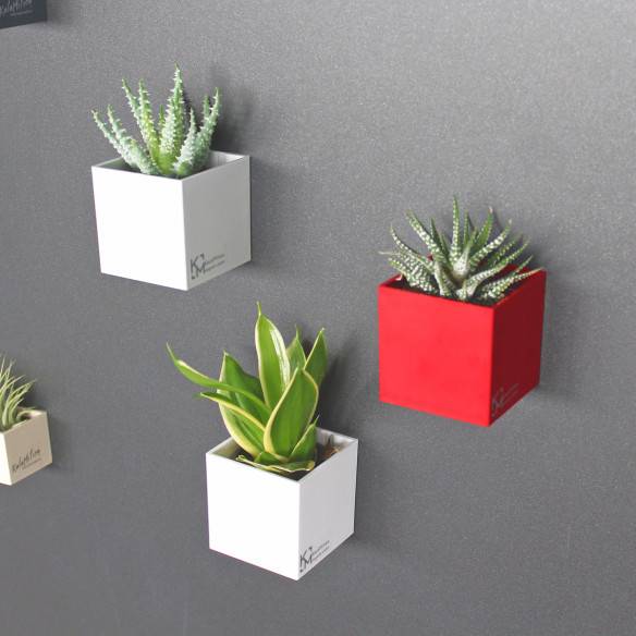 Kalamitica Assortimento di Cubi Magnetici Ø 6 cm Sconto