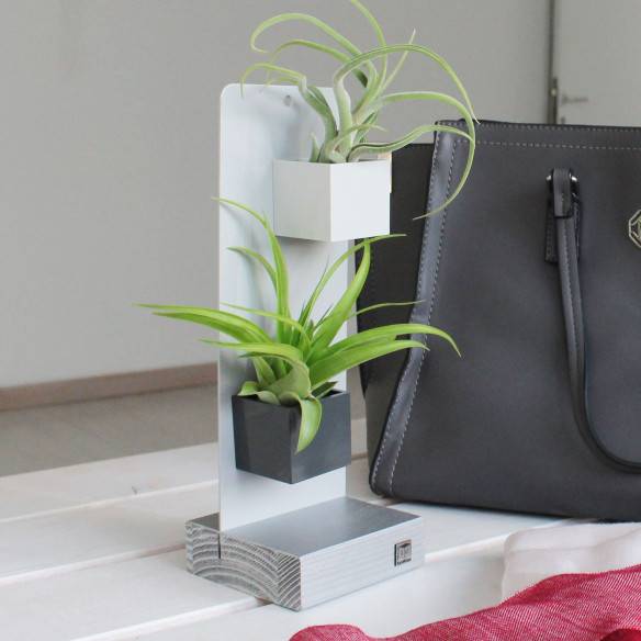 Kalamitica KIT EVERGREEN, Soprammobile Soggiorno con Piante Qualità Garantita