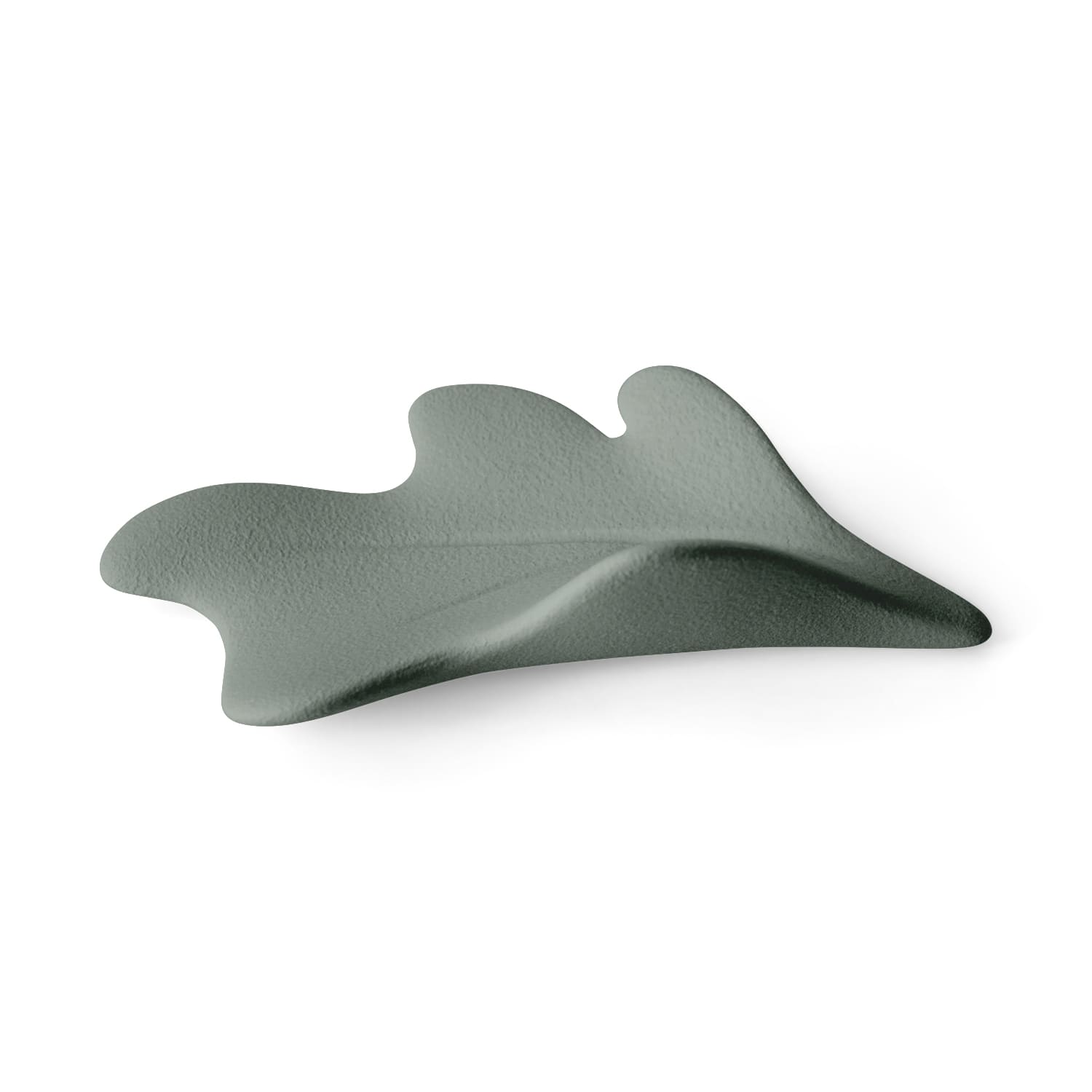 Lineasette Alga Spedizione Gratuita
