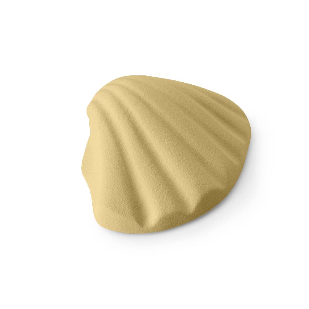 Lineasette Conchiglia Promozione Limitata