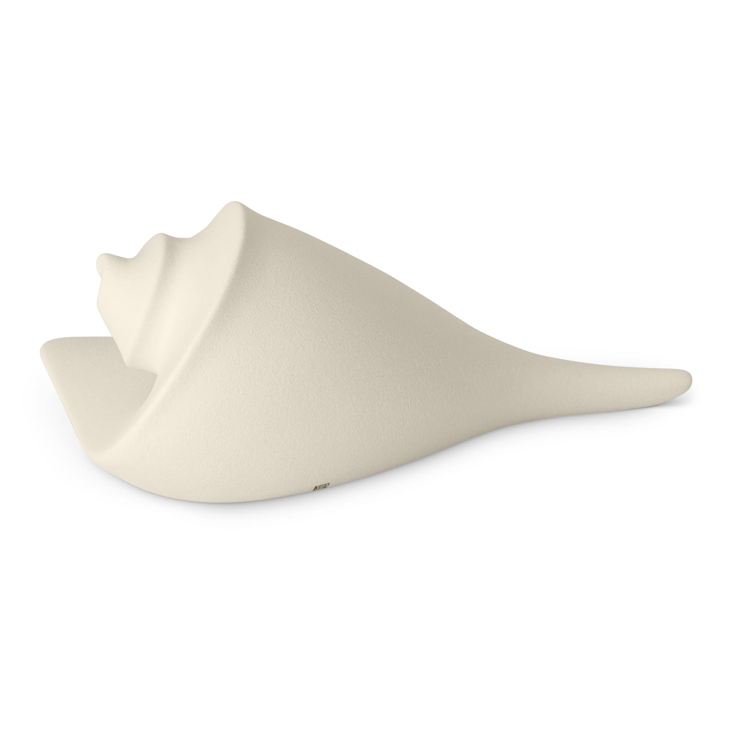Lineasette Conchiglie Offerte