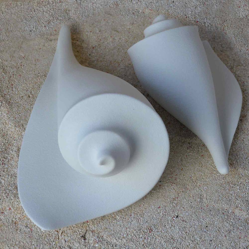 Lineasette Conchiglie Offerte