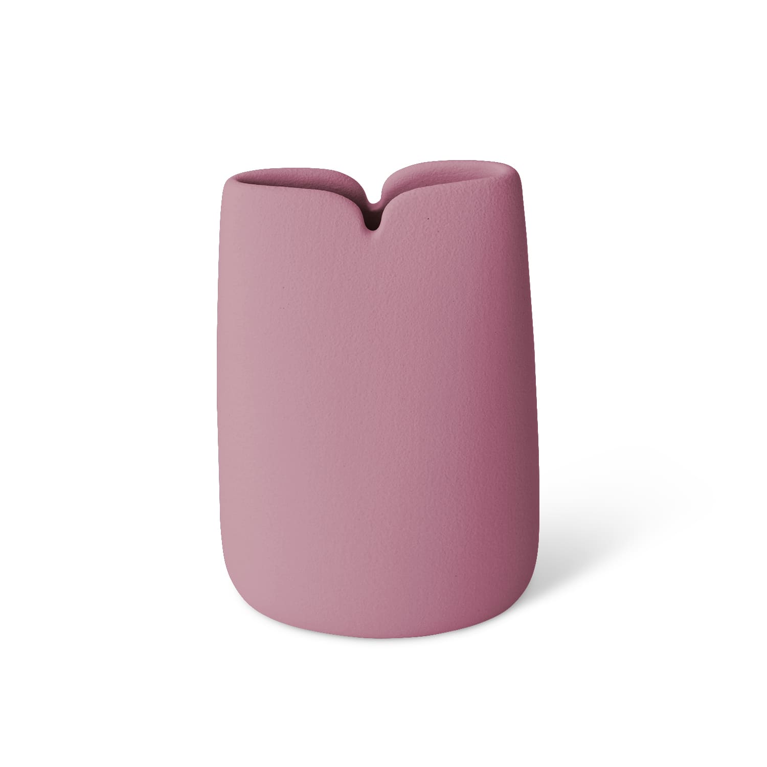 Lineasette Tulipani Promozione