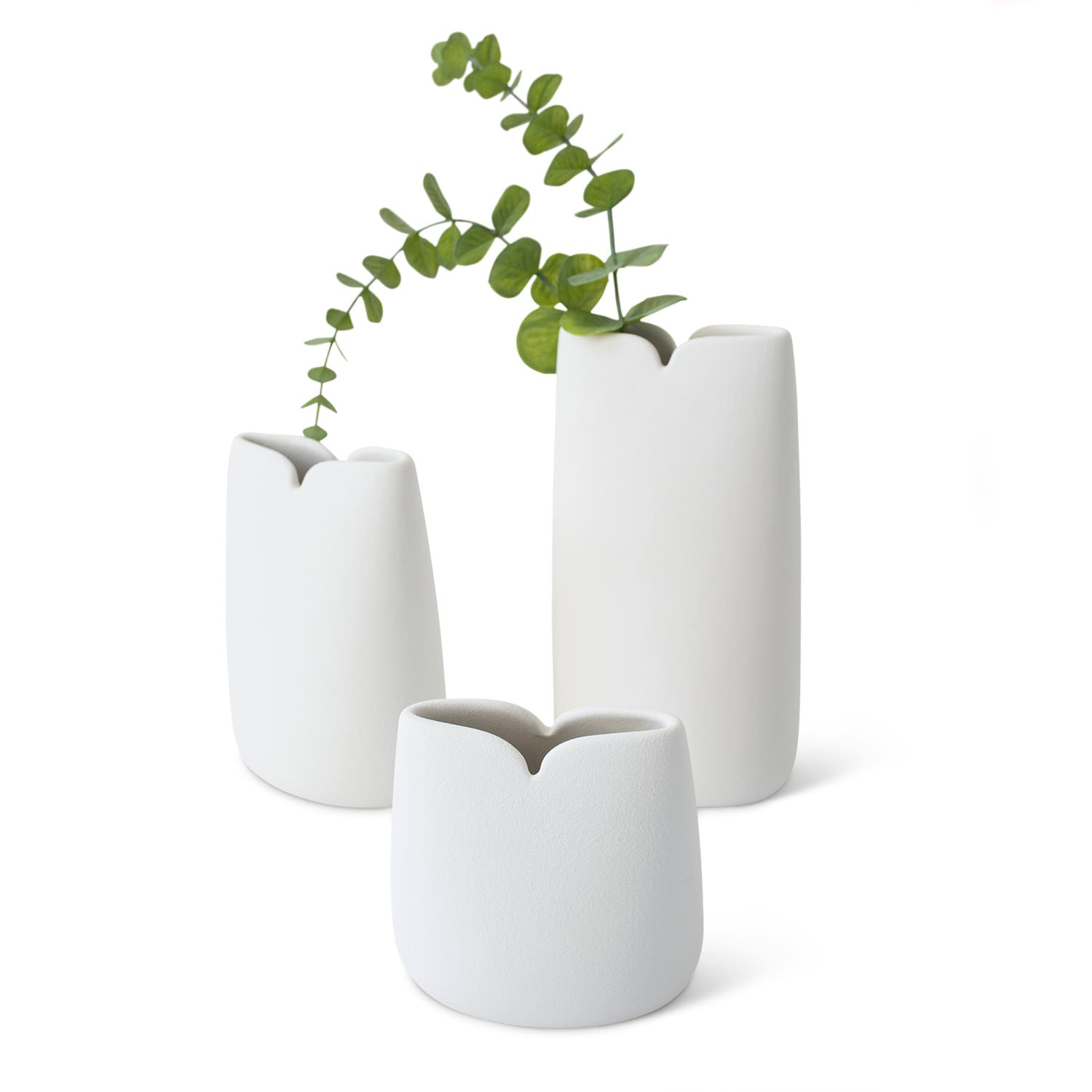 Lineasette Tulipani Promozione