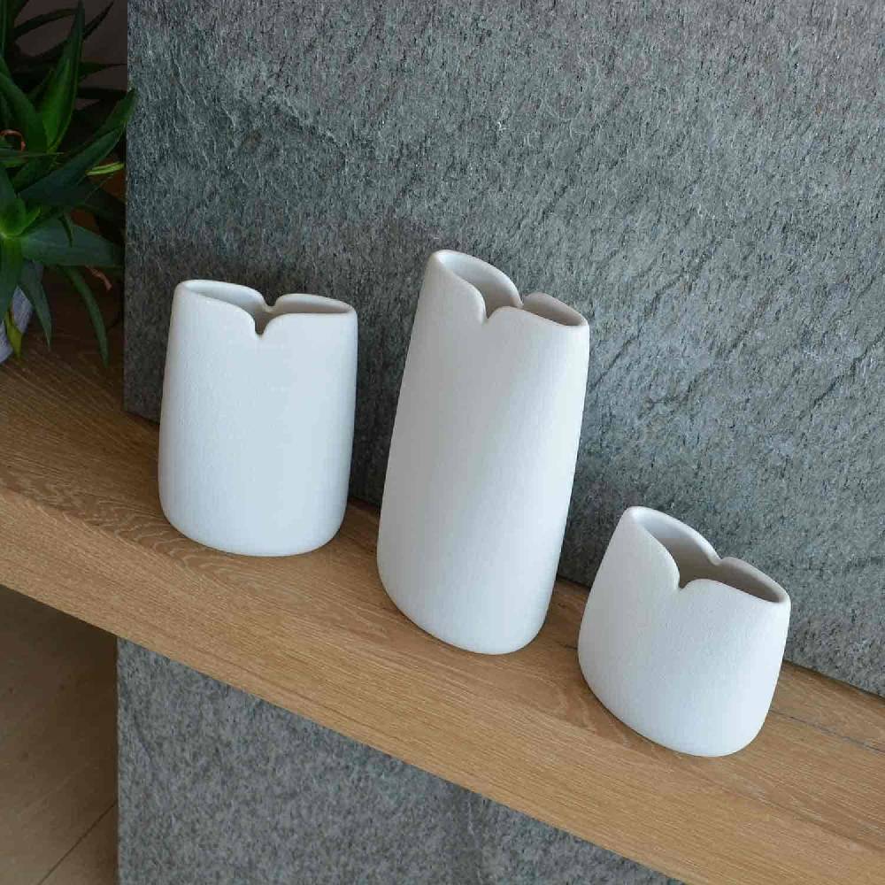 Lineasette Tulipani Promozione