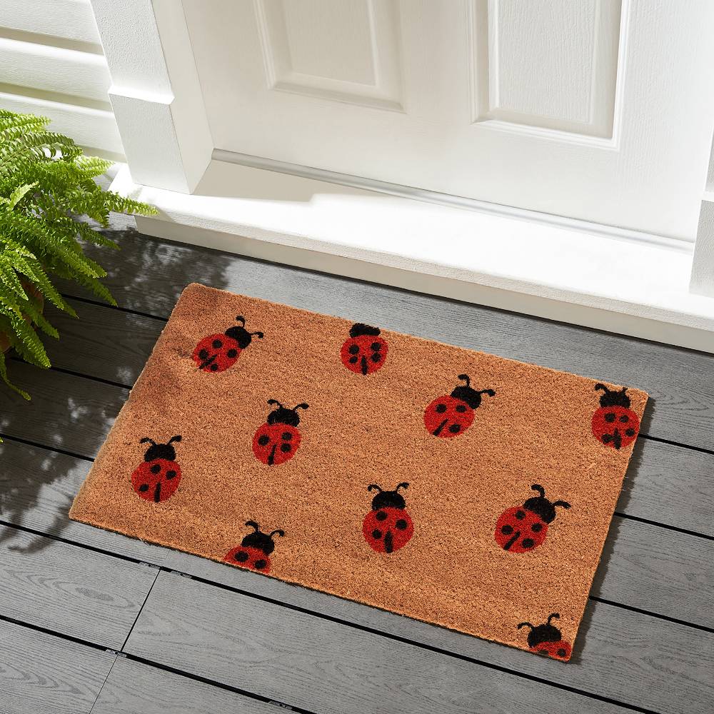 Oresteluchetta Zerbino LADYBUG Economico
