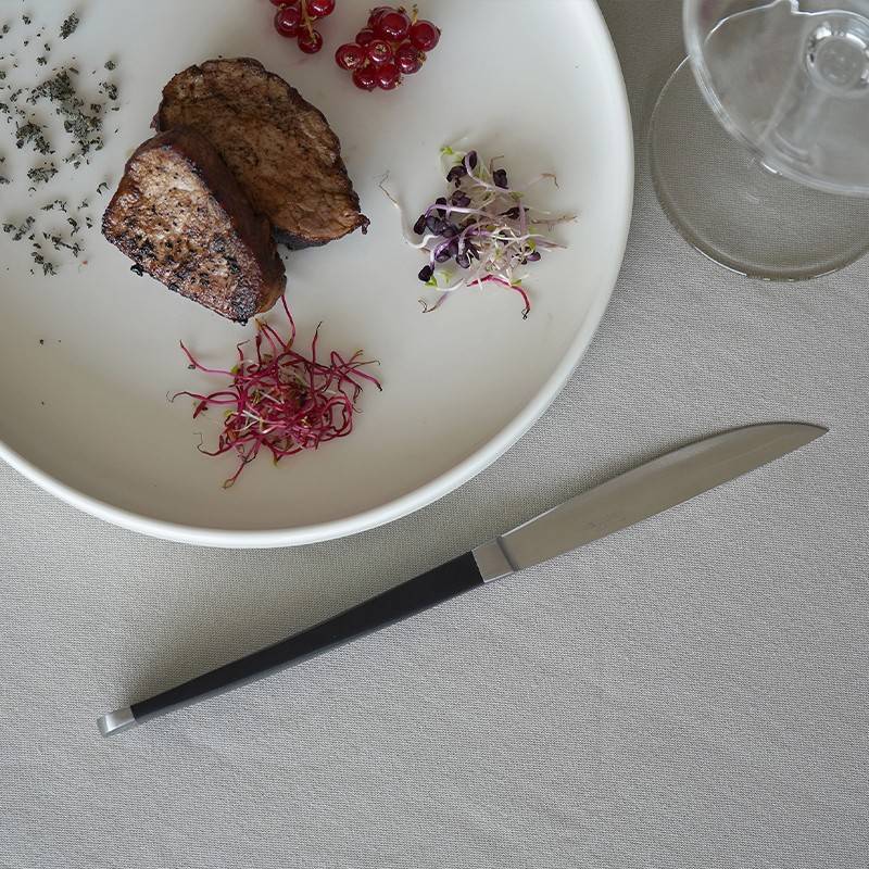 Pintinox Audrey » Coltello bistecca lama liscia e seghettata I Più Venduti