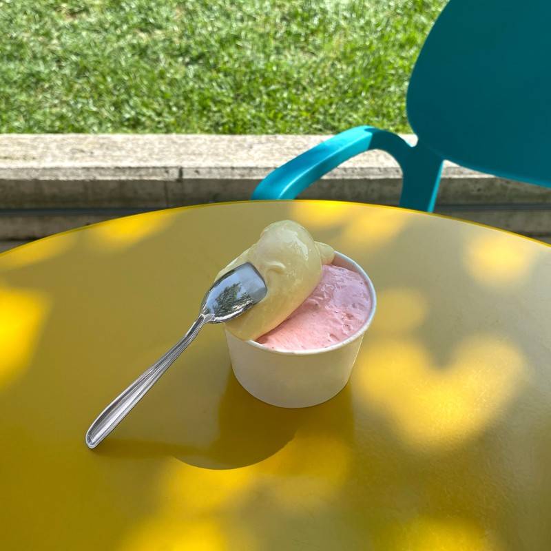Pintinox USE&REUSE » Paletta gelato 2025
