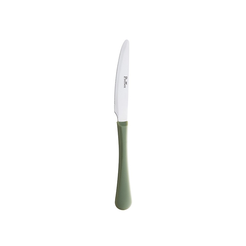 Pintinox Stresa Colour » Coltello multiuso manico salvia