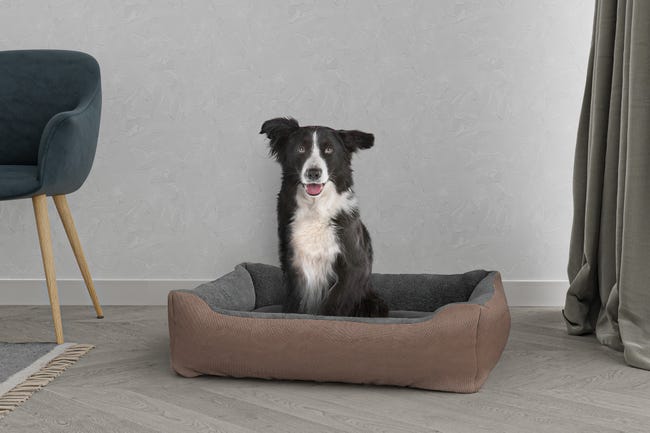 Leroymerlin CUCCIA LOVE SOGNI E CAPRICCI PETS 84x66 cm TORTORA Moda