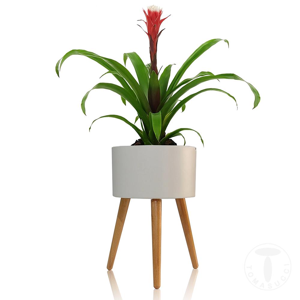 Tomasucci Vaso autoinnaffiante per esterno / interno CALLA - C Nuova