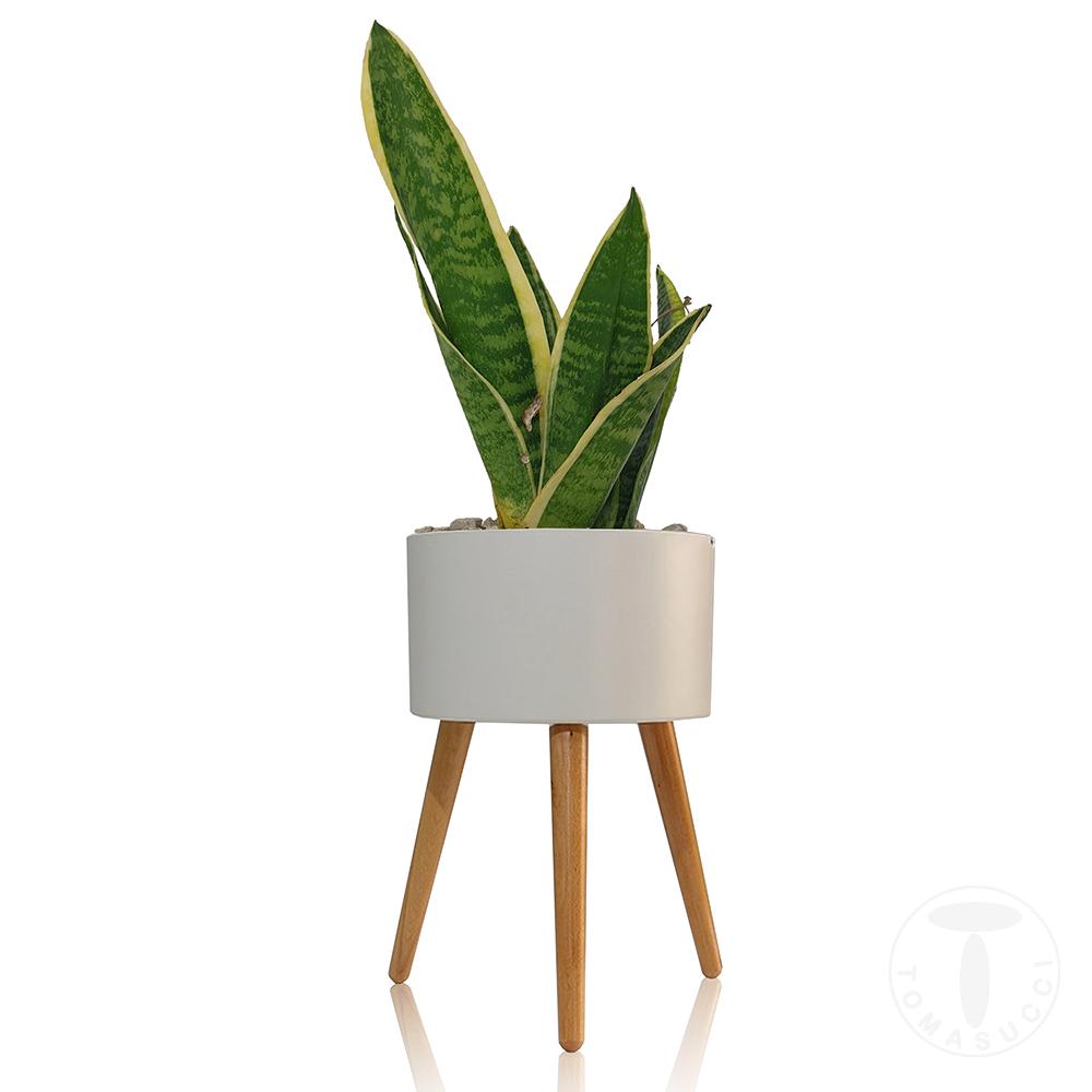 Tomasucci Vaso autoinnaffiante per esterno / interno CALLA - C Nuova