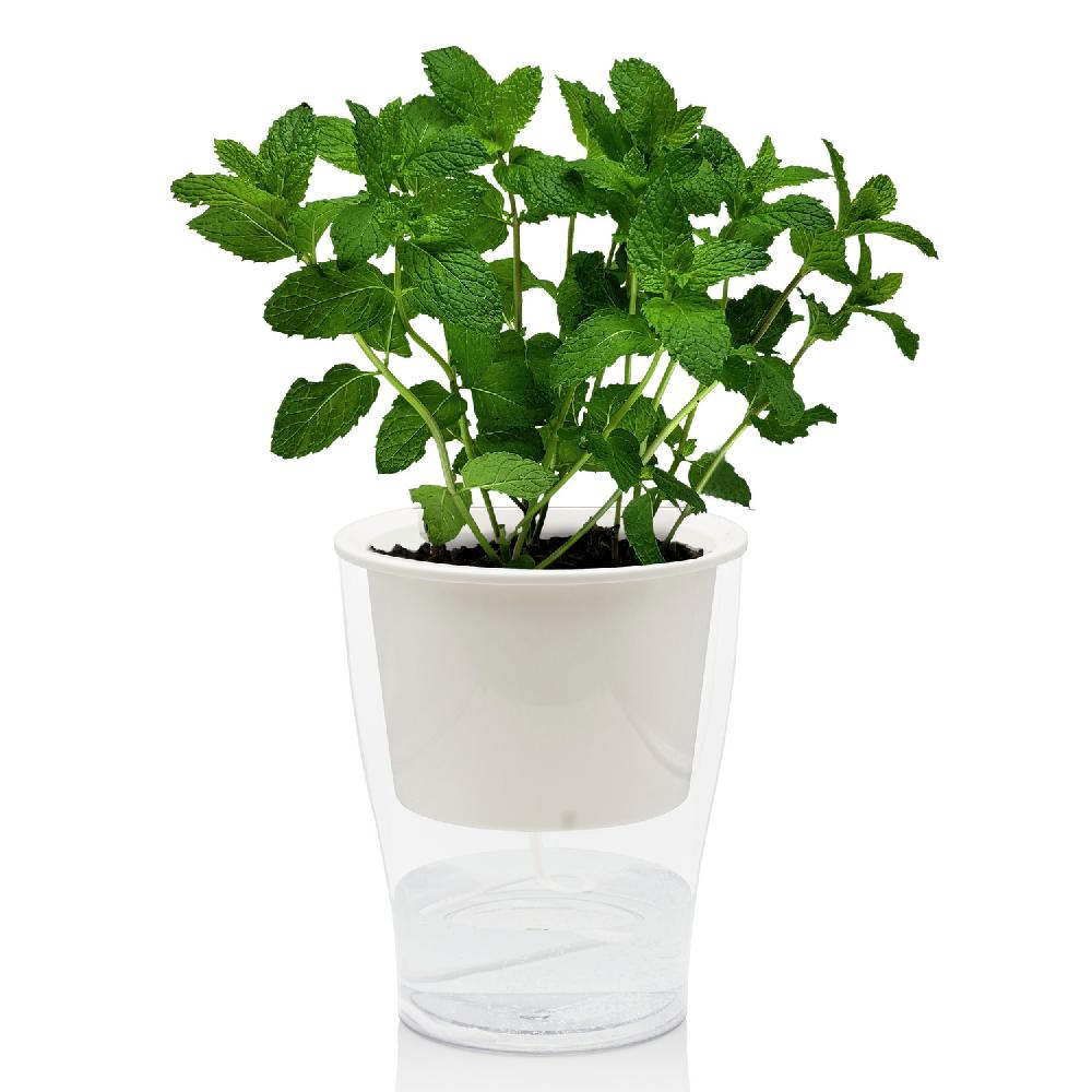Tomasucci Vaso autoinnaffiante per esterno / interno RAFFY LARGE Sconto di tempo limitato