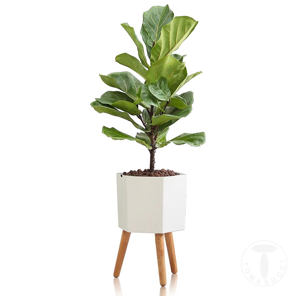 Tomasucci Vaso autoinnaffiante per esterno / interno CALLA - D Negozio online di fabbrica