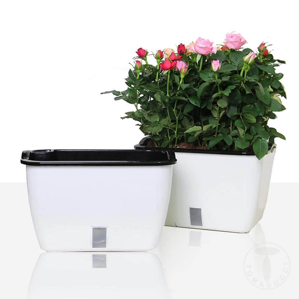 Tomasucci Vaso autoinnaffiante per esterno / interno DAHLIA SMALL Prezzo di fabbrica