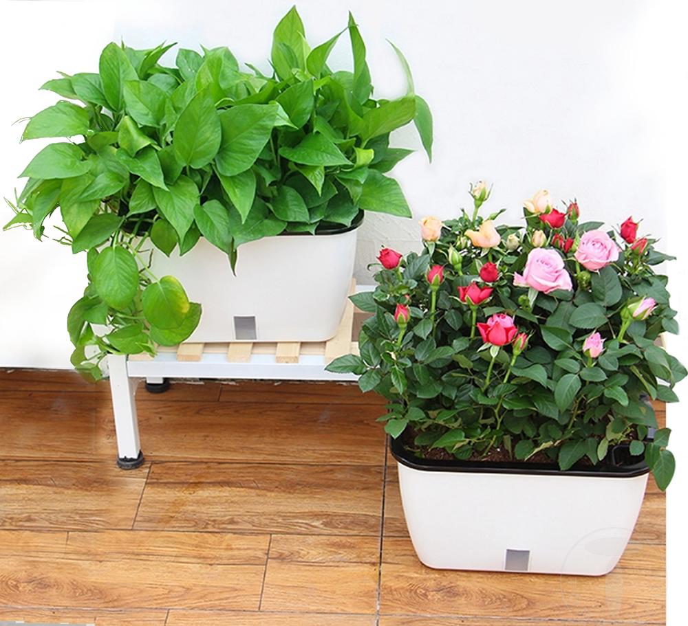Tomasucci Vaso autoinnaffiante per esterno / interno DAHLIA SMALL Prezzo di fabbrica