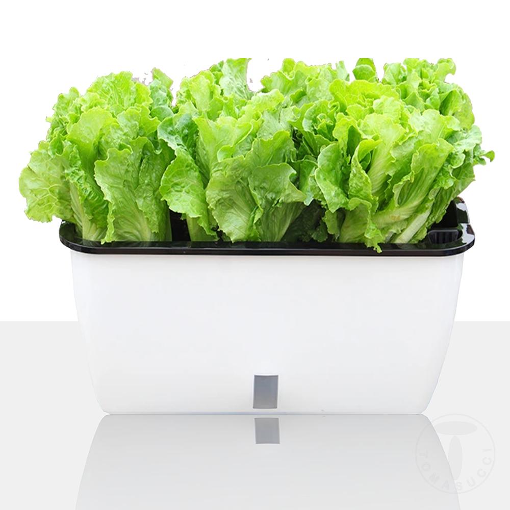 Tomasucci Vaso autoinnaffiante per esterno / interno DAHLIA BIG Offerta speciale