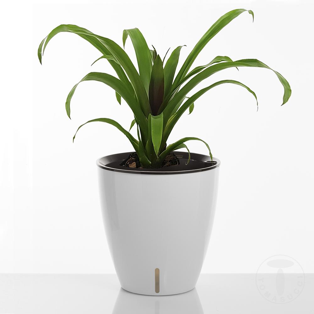 Tomasucci Vaso autoinnaffiante per esterno / interno TULIP Grande vendita